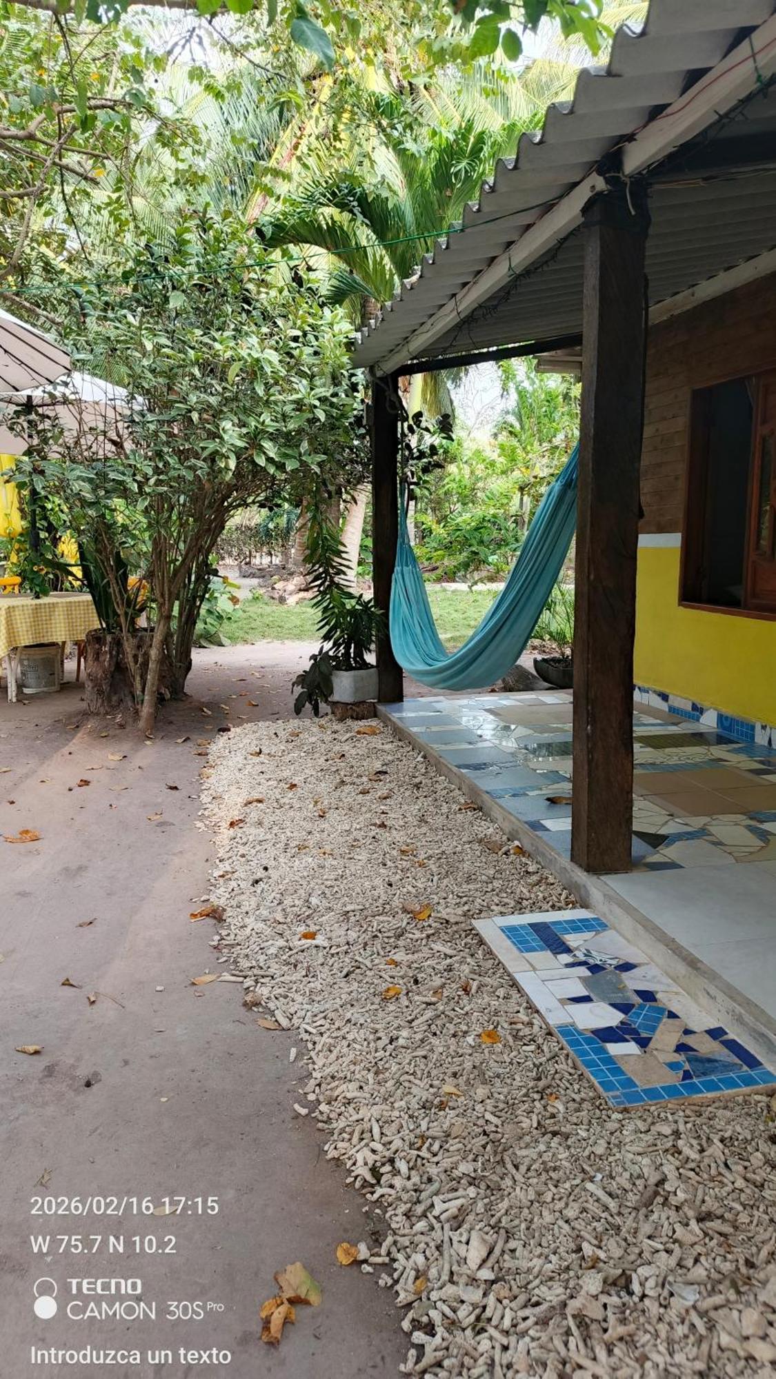 Campo de lujo Coco Encantado Eco *